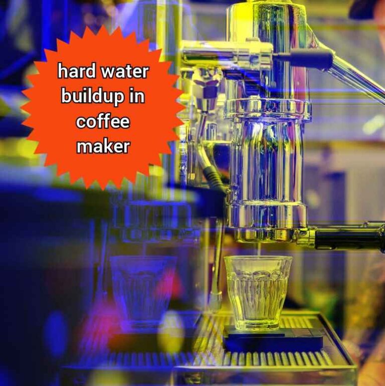 Home Discover everything about coffee