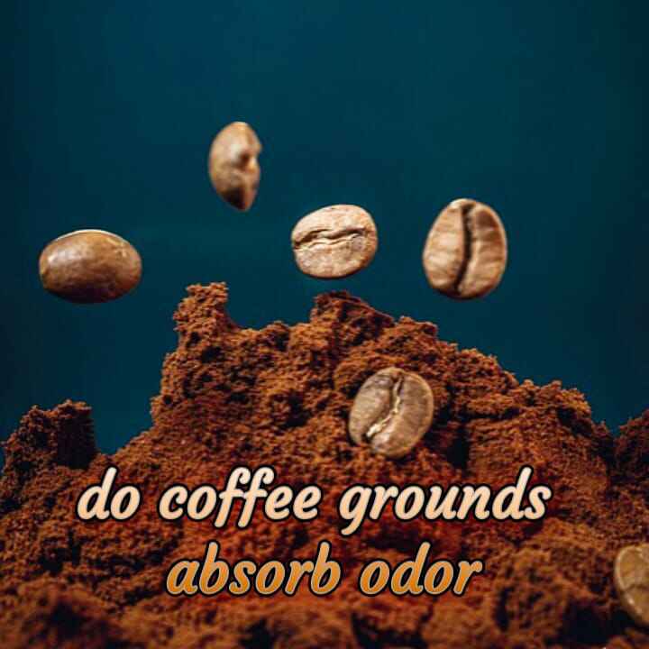 do coffee grounds absorb odor
